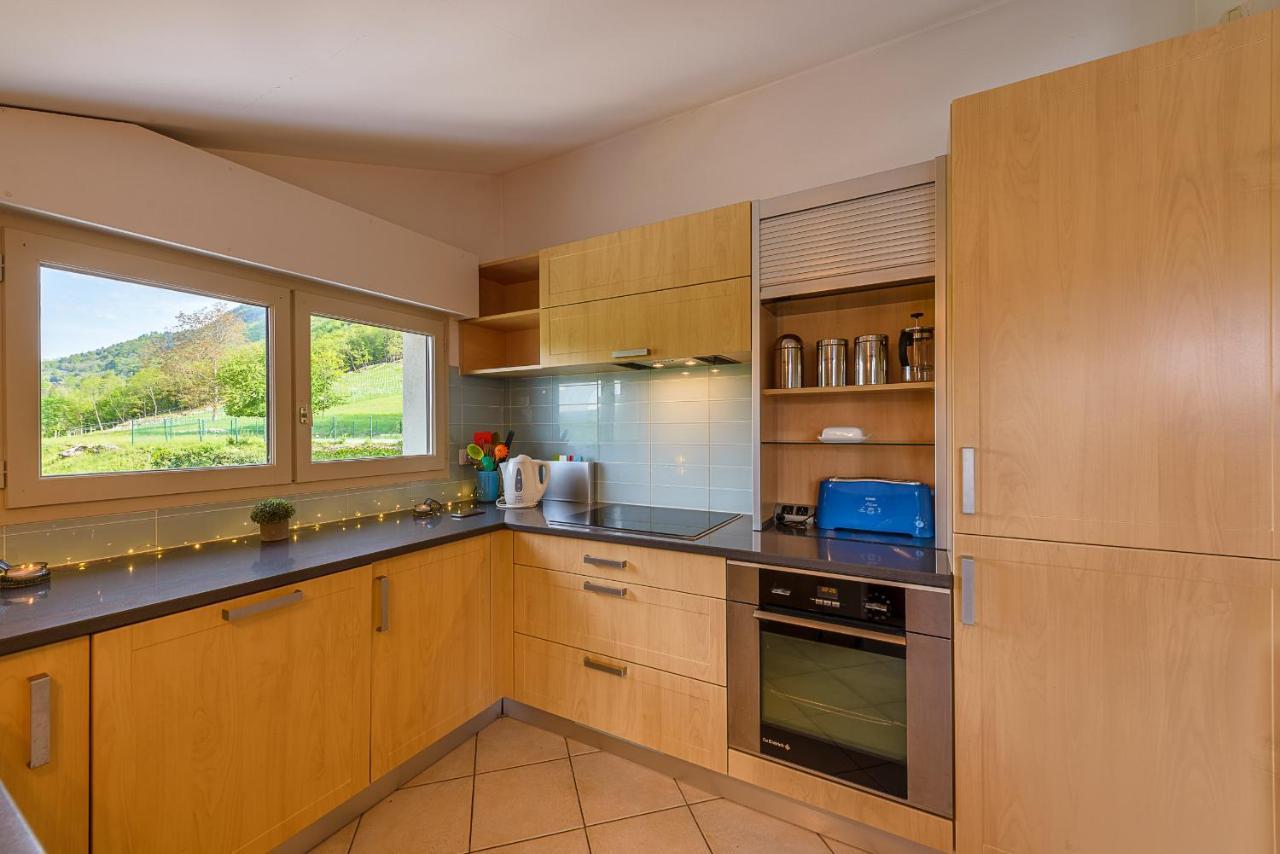 L'Hermitage: Lakeside Apartments with Terrace, Pool & Parking Talloires Exterior photo